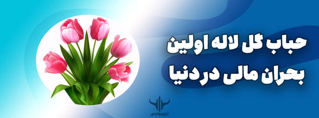 حباب گل لاله هلندی