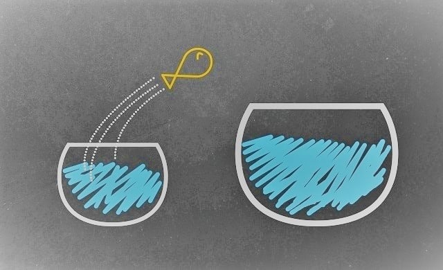 صندوق‌های سرمایه‌گذاری