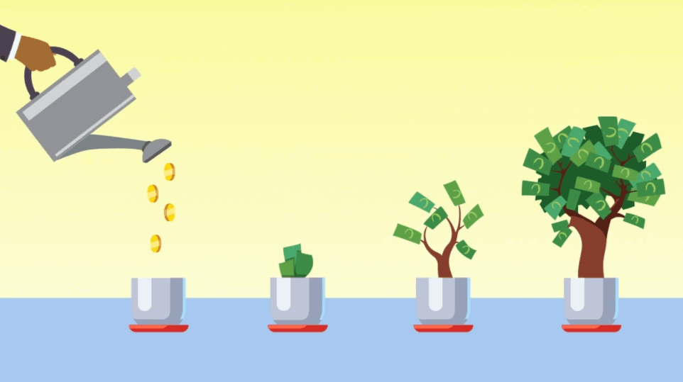 capital gain ارزش یک درخت بیشتر از نهال استاست.