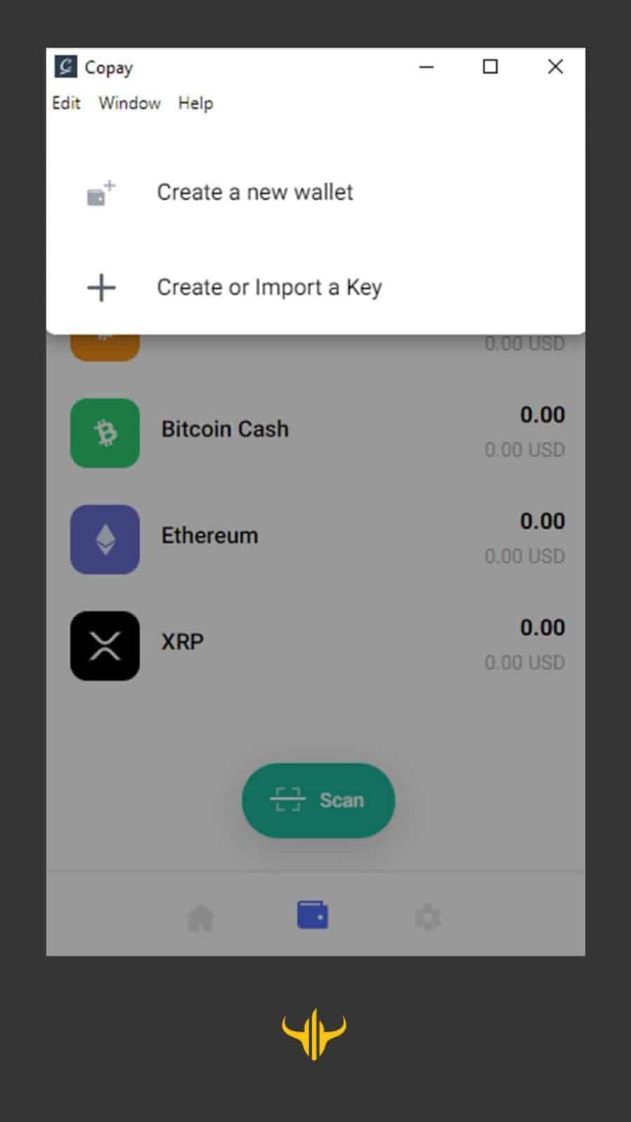 copay wallet copay wallet والت کوپی